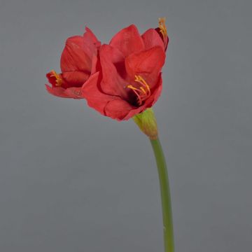 Fiore decorativo amarillide BELAV, rosso, 70cm, Ø5-13cm Fiore decorativo amarillide BELAV, rosso, 70cm, Ø5-13cm