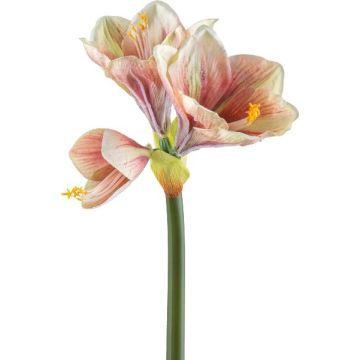 Fiore decorativo amarillide BELAV, rosa-crema-verde, 70cm, Ø5-13cm Fiore decorativo amarillide BELAV, rosa-crema-verde, 70cm, Ø5-13cm
