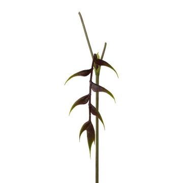 Fiore artificiale Heliconia MENJU, rosso bordeaux, 55 cm