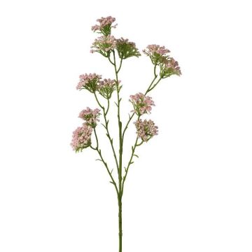 Ramo decorativo achillea GRUNTO, rosa, 65 cm