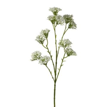 Ramo decorativo achillea GRUNTO, bianco, 65 cm