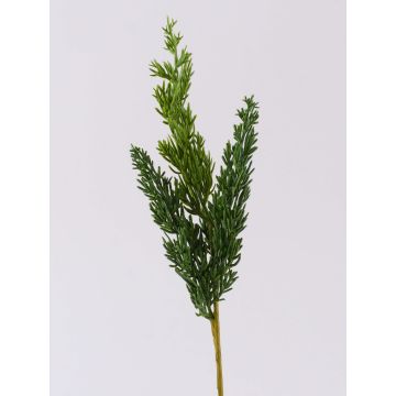 Ramo decorativo ginepro STURNYN, verde, 35cm Ramo decorativo ginepro STURNYN, verde, 35cm
