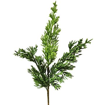 Ramo decorativo ginepro STURNYN, verde, 35 cm