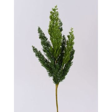 Ramo decorativo di ginepro STURNYN, verde, 50cm Ramo decorativo di ginepro STURNYN, verde, 50cm