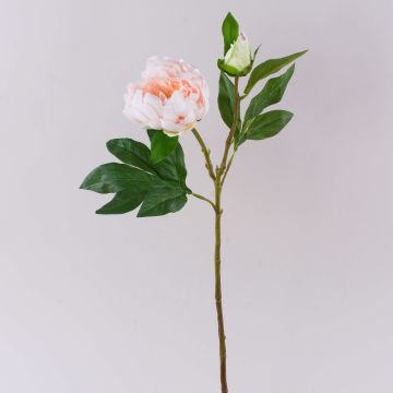 Peonia artificiale FYRFAR, aperta, rosa chiaro, 60 cm