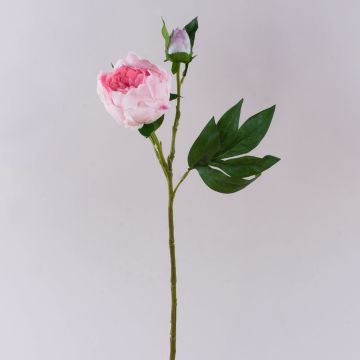 Peonia artificiale FYRFAR, semiaperta, rosa, 60 cm