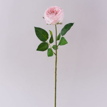Rosa artificiale MARNUK, rosa chiaro, 60cm, Ø9cm Rosa artificiale MARNUK, rosa chiaro, 60cm, Ø9cm