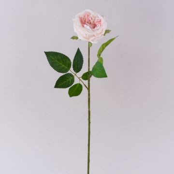 Rosa artificiale MARNUK, crema-rosa, 60cm, Ø9cm Rosa artificiale MARNUK, crema-rosa, 60cm, Ø9cm