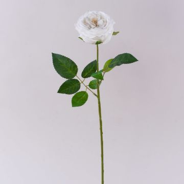 Rosa artificiale MARNUK, crema-bianca, 60cm, Ø9cm Rosa artificiale MARNUK, crema-bianca, 60cm, Ø9cm