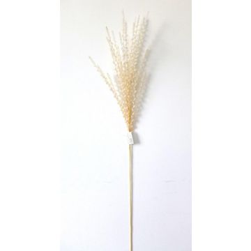 Piuma di gatto in schiuma sintetica FERDIHUN con pannocchie, albicocca, 100 cm