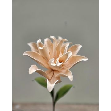 Camelia in schiuma sintetica SINDAKLY, albicocca, 80 cm