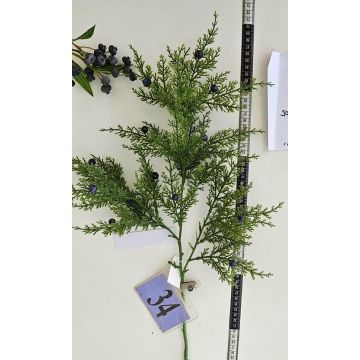 Ramo decorativo di ginepro NAFIRNE con bacche, verde-blu scuro, 65 cm
