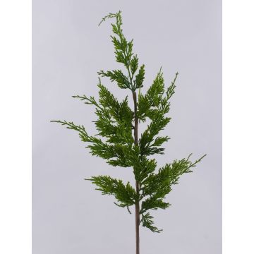 Ramo decorativo di tuia STERNYN, verde, 85cm