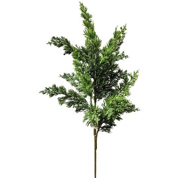 Ramo decorativo di ginepro STURNYN, verde, 80 cm