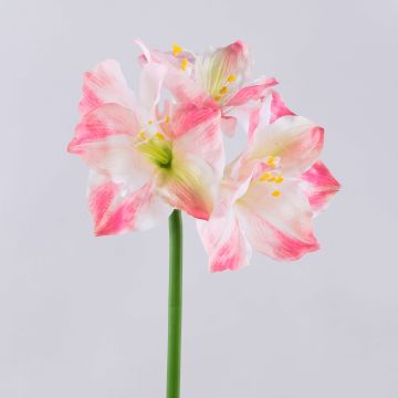 Amaryllis artificiale SARNUK, bianco-rosa, 80cm