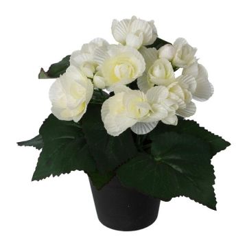 Fiore artificiale begonia KELTO in vaso decorativo, bianco, 25 cm