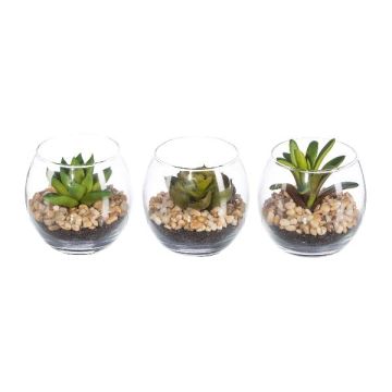 Composizione artificiale di piante grasse WINKS in vaso, 3 pezzi, verde, 7 cm, Ø 7,5 cm