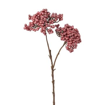 Ramo decorativo di sambuco ZORNKE, bacche, rosa scuro, 50 cm
