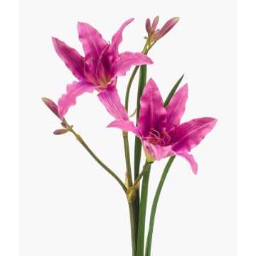 Fiore artificiale giglio ZAXIL con fiori, viola, 75 cm Fiore artificiale giglio ZAXIL con fiori, viola, 75 cm