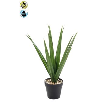 Palma yucca artificiale BAKVER, vaso decorativo, crossdoor, 50 cm