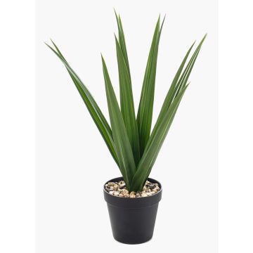 Palma yucca artificiale BAKVER, vaso decorativo, crossdoor, 50 cm Palma yucca artificiale BAKVER, vaso decorativo, crossdoor, 50 cm