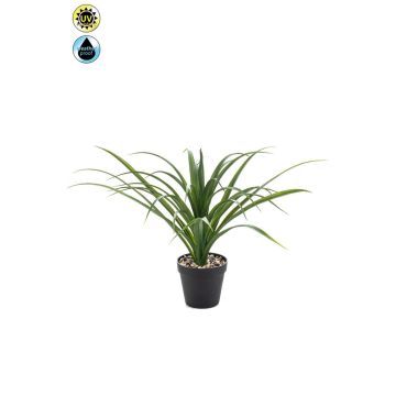 Palma artificiale Yucca rostrata POLLYANNA, vaso decorativo, crossdoor, 35 cm