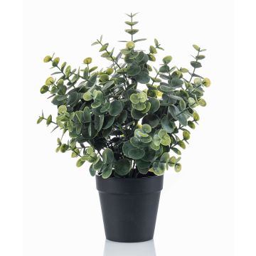Eucalipto artificiale GLIWEN in vaso decorativo, verde-grigio, 30 cm Eucalipto artificiale GLIWEN in vaso decorativo, verde-grigio, 30 cm