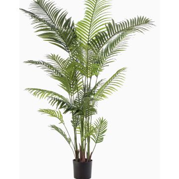 Palma artificiale TAWAN, 200 cm