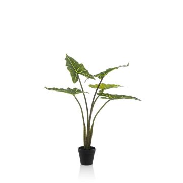 Pianta artificiale Alocasia Sanderiana MUNAY in vaso decorativo, verde, 80 cm