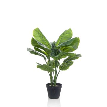 Pianta artificiale Calathea Orbifolia CAPHOR, verde-grigio, 70 cm