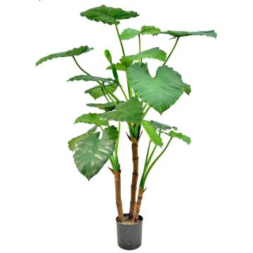 Pianta artificiale Alocasia calidora NOKJAN, verde, 120 cm
