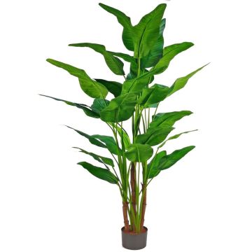 Palma artificiale GORYU, 250 cm