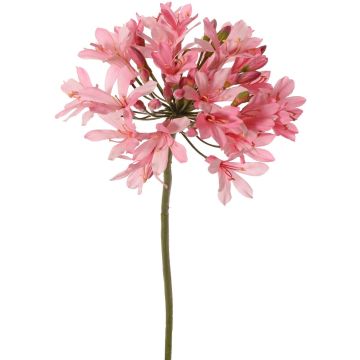 Fiore artificiale agapanthus KAFENA, rosa chiaro, 90cm, Ø20cm Fiore artificiale agapanthus KAFENA, rosa chiaro, 90cm, Ø20cm