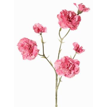 Ramo artificiale di garofano STURYN, rosa, 55cm, Ø2,5-6cm Ramo artificiale di garofano STURYN, rosa, 55cm, Ø2,5-6cm