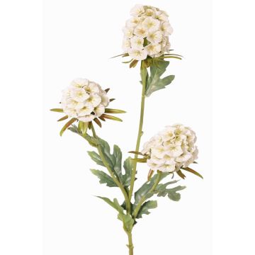 Ramo artificiale di garofano STERMYN, crema, 75cm, Ø6,5-8,5cm Ramo artificiale di garofano STERMYN, crema, 75cm, Ø6,5-8,5cm