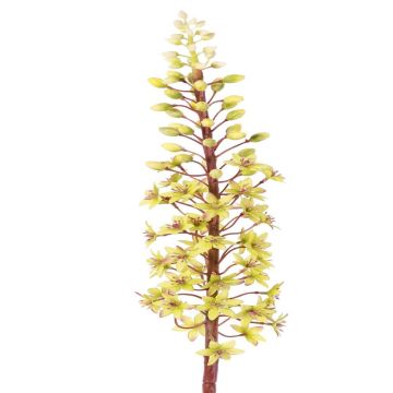 Fiore artificiale giglio verde ZERFIM, verde, 90 cm