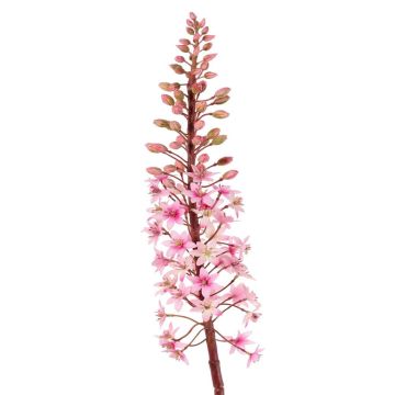 Fiore artificiale giglio verde ZERFIM, rosa-verde, 90 cm