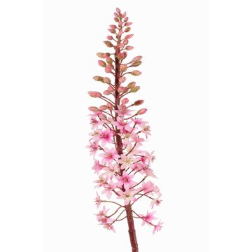 Fiore artificiale giglio verde ZERFIM, rosa-verde, 90cm