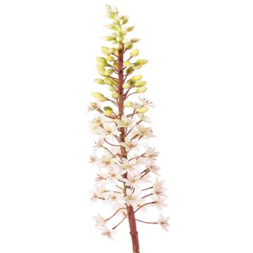 Fiore artificiale giglio verde ZERFIM, bianco-verde, 90 cm