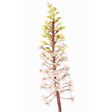 Fiore artificiale giglio verde ZERFIM, bianco-verde, 90cm