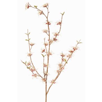 Ramo artificiale di hamamelis XYLA, fiori, crema-rosso, 120cm, Ø5cm