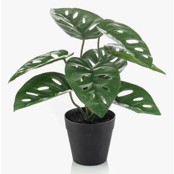 Pianta artificiale filodendro monstera adansonii PRUMEX, vaso decorativo, 28cm Pianta artificiale filodendro monstera adansonii PRUMEX, vaso decorativo, 28cm