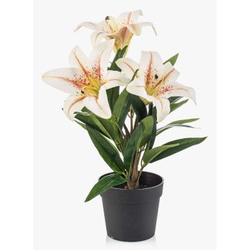 Giglio artificiale YELTOR in vaso decorativo, crema-rosa, 35 cm
