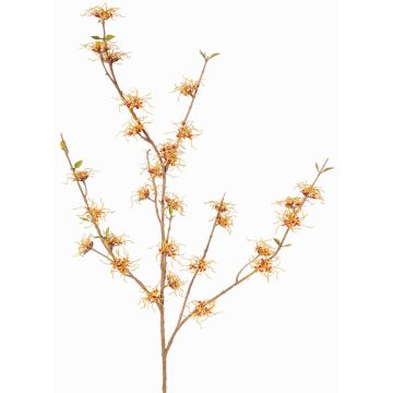 Ramo di hamamelis artificiale XYLA, fiori, arancione-giallo, 120cm, Ø5cm Ramo di hamamelis artificiale XYLA, fiori, arancione-giallo, 120cm, Ø5cm