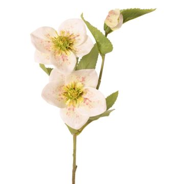 Ramo artificiale di rosa di Natale SUNMYN, crema, 55 cm, Ø 8-10 cm