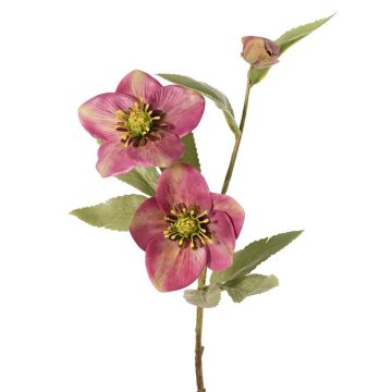 Ramo artificiale di rosa di Natale SUNMYN, malva, 55 cm, Ø 8-10 cm