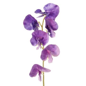 Fiore artificiale Lathyrus WAHNY, viola, 35 cm, Ø 5 cm
