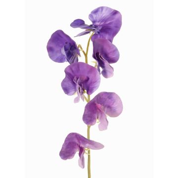 Fiore artificiale Lathyrus WAHNY, lilla, 45cm, Ø5,5cm Fiore artificiale Lathyrus WAHNY, lilla, 45cm, Ø5,5cm