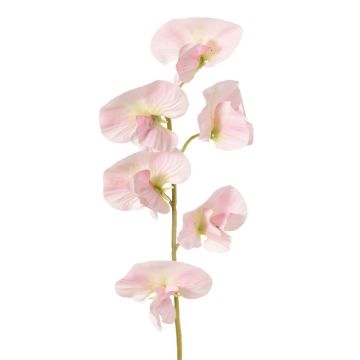Fiore artificiale Lathyrus WAHNY, rosa chiaro, 35 cm, Ø 5 cm