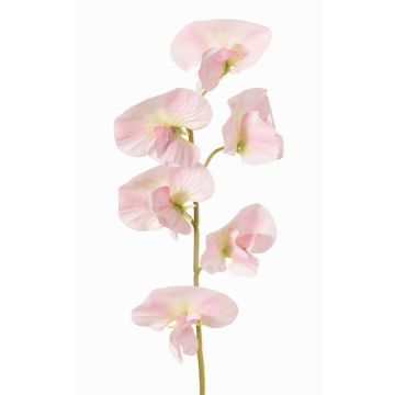 Fiore artificiale Lathyrus WAHNY, rosa chiaro-verde-bianco, 45cm, Ø5,5cm Fiore artificiale Lathyrus WAHNY, rosa chiaro-verde-bianco, 45cm, Ø5,5cm